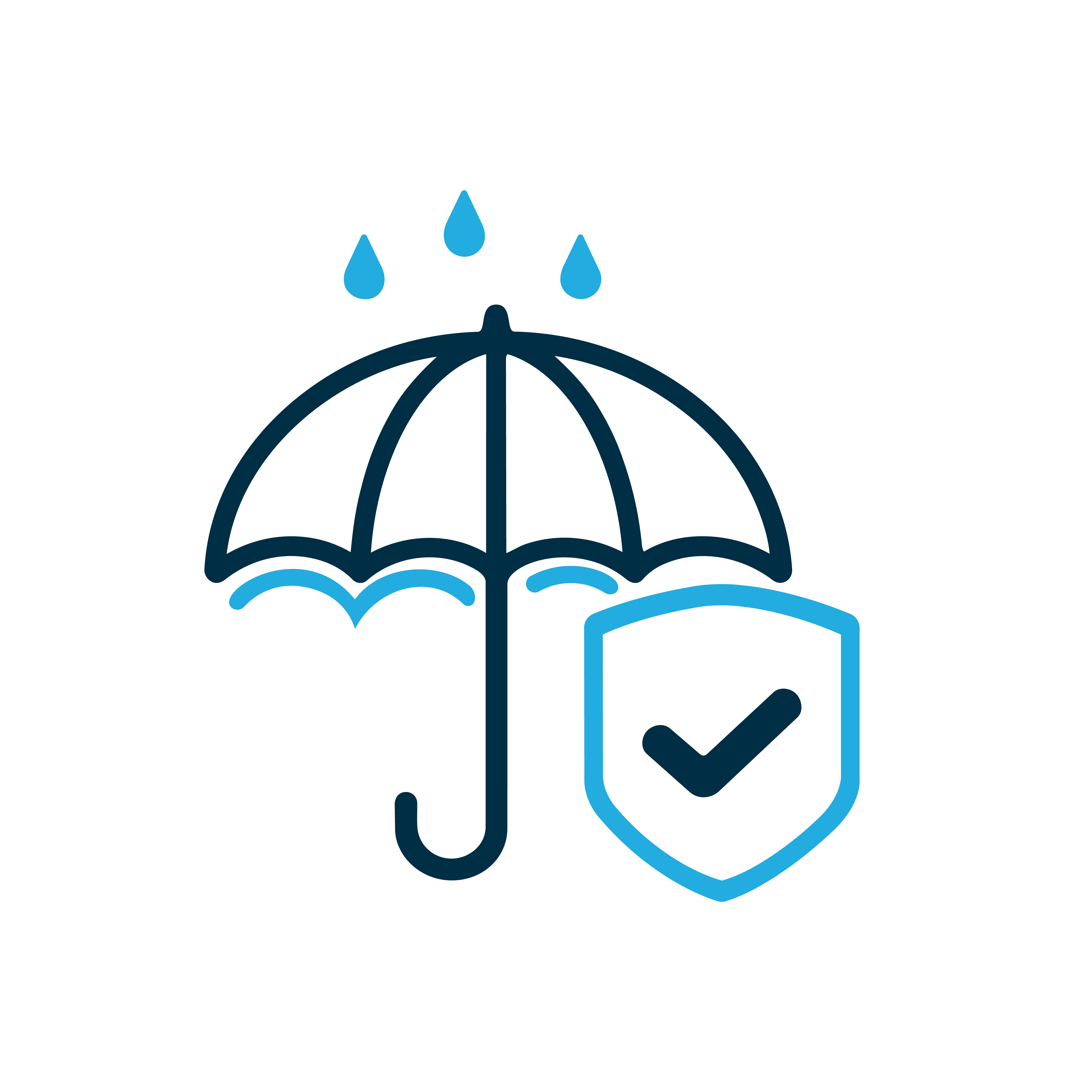 Florida Umbrella Insurance Coverage